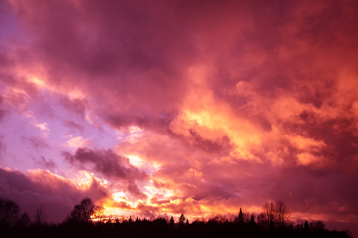 Dramatic purple sky over forest in evening
