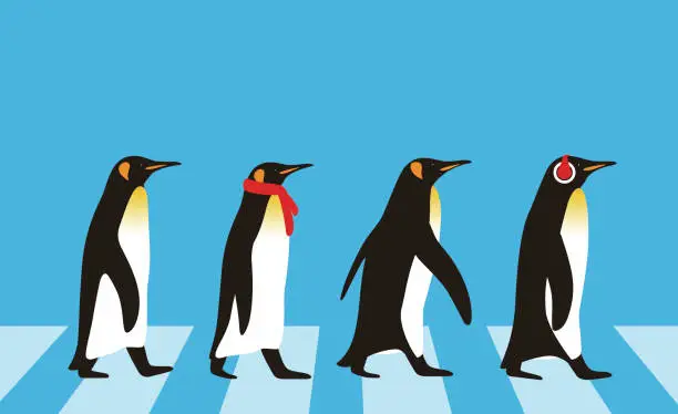 Vector illustration of King Penguin walking, Penguin seed series