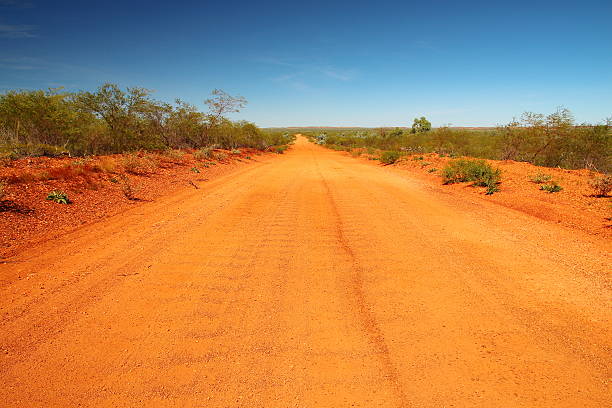 istock Lonely track in Australian bush 517410668