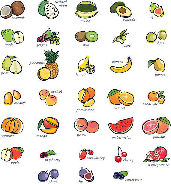 Icon set of fruits Colorful icon set of hand drawn fruits valencia orange stock illustrations