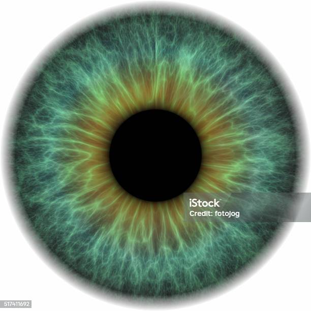 Eye Ball Isolated On White Background Stock Photo - Download Image Now - Iris - Eye, Close-up, Eyeball