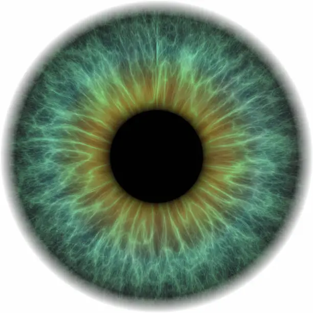 Photo of Eye ball isolated on white background