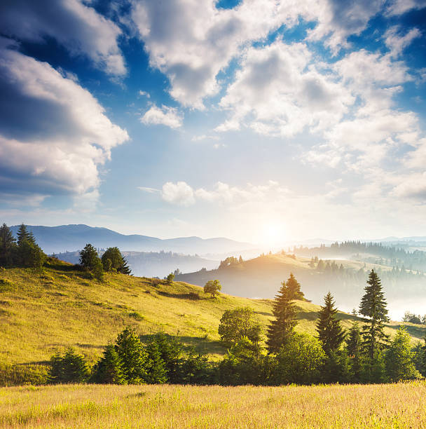 istock Beautiful countryside landscape 517412418
