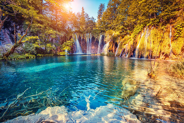 istock Plitvice Lakes National Park 517413108