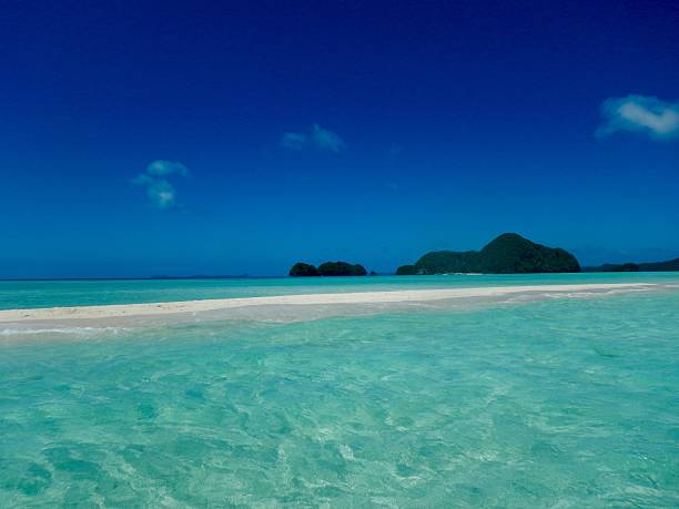 istock Palau of Long Beach 517413672