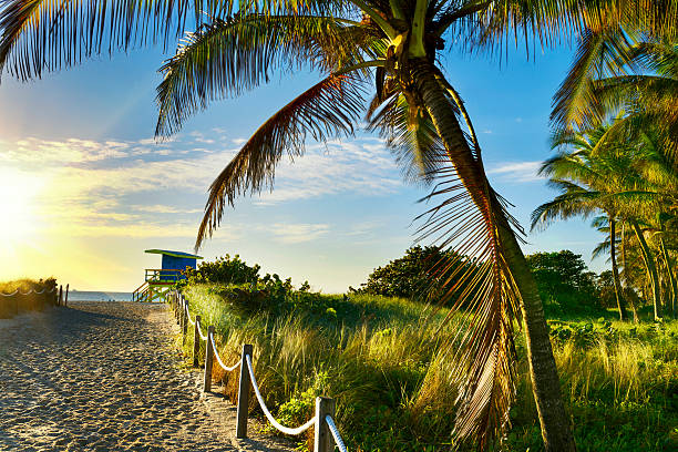 istock Lifeguard Tower, Miami Beach, Florida 517416979