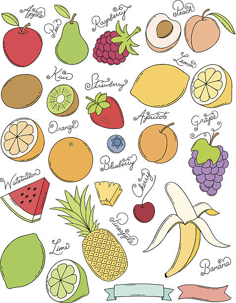 ilustraciones, imágenes clip art, dibujos animados e iconos de stock de dibujo a mano frutas - portion apple food pattern