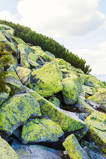 Moss-grown stony slope of Carpathian mountain on the blue sky with clouds background
