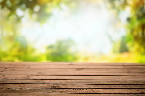 Photo of Empty wooden table with nature background - Fall