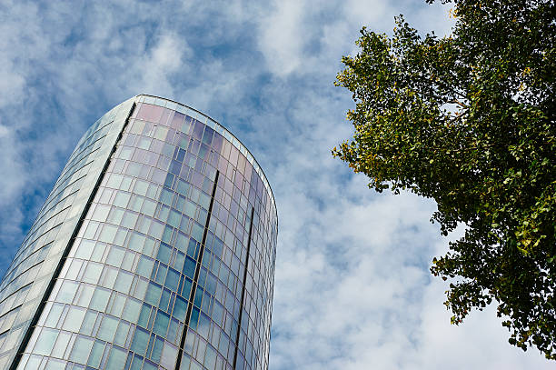 istock Office building and tree reaching for the sky 517418137