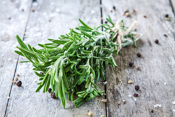 istock bunch of fresh rosemary 517419979