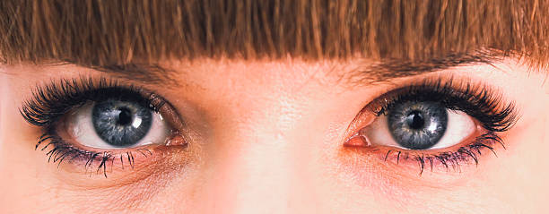 istock Female eye with long eyelashes close up 517420314