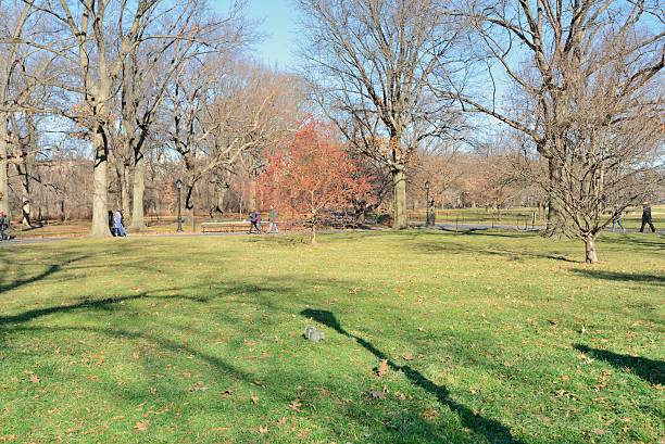 istock Winter in Central Park, New York city 517421938