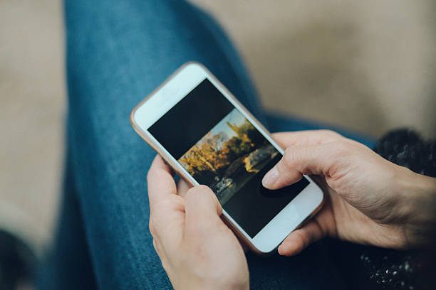 istock Watching photos on the smartphone 517422464