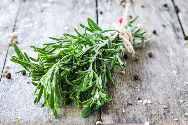 istock bunch of fresh rosemary 517423843
