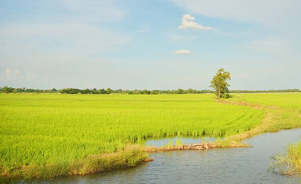 istock Landsacpe country 517443325