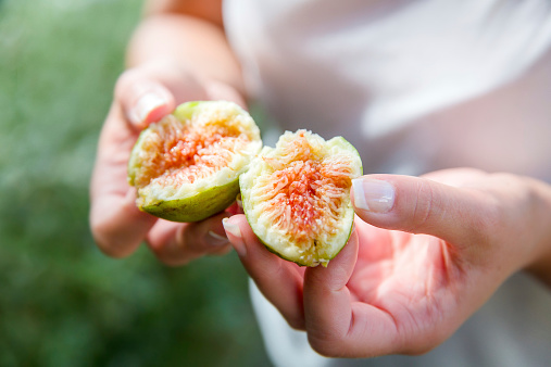fresh organic figs
