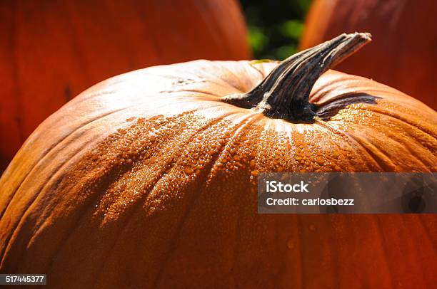 Bunch Of Halloween Pumpkin Stock Photo - Download Image Now - Abundance, Agricultural Fair, Agriculture