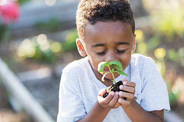 ragazzino in giardino, annusare erbe aromatiche fresche - vegetable garden planting environment human hand foto e immagini stock