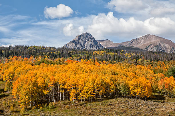 istock Rocky Mountain Autumn 517448373