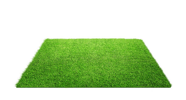 трава ковер - ground green wheatgrass isolated стоковые фото и изображения