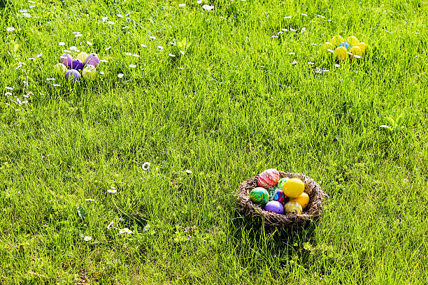 œufs de pâques - daffodil easter egg hunt easter easter egg photos et images de collection