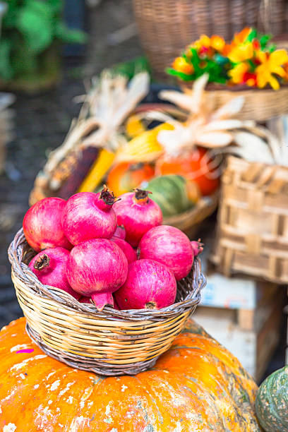 istock red garnets in basket. fruit market 517464276