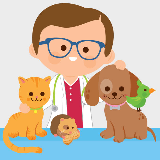 Veterinarian and pets Vector illustration of a male veterinary physician and pets: a cat, dog, a hamster and a bird  domestic cat greece stock illustrations