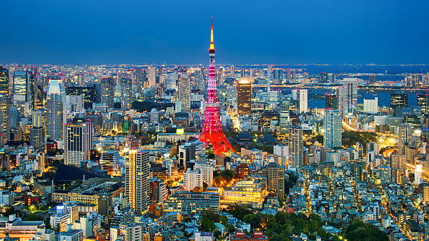 istock Tokyo city view visible on the horizon 517464937