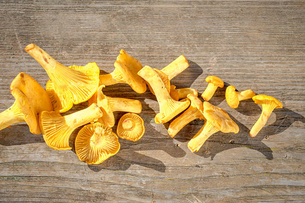 istock Chanterelle mushrooms over old wooden table. 517466818