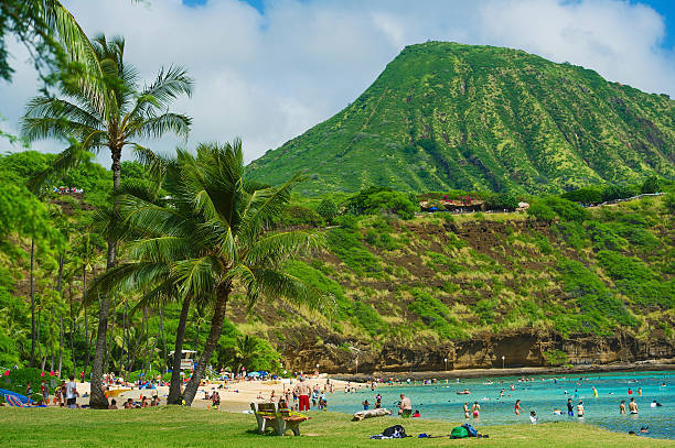 istock Coral reef snorkeling resort on Hawaii 517466942