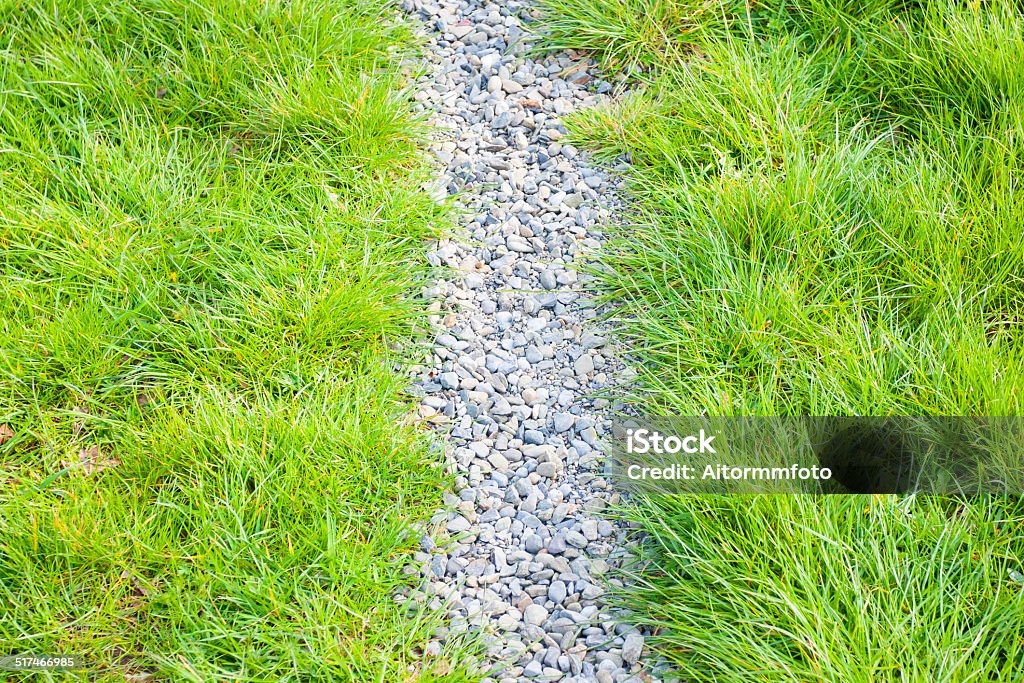 Path through the grass Stones walkway through the grass Agricultural Field Stock Photo