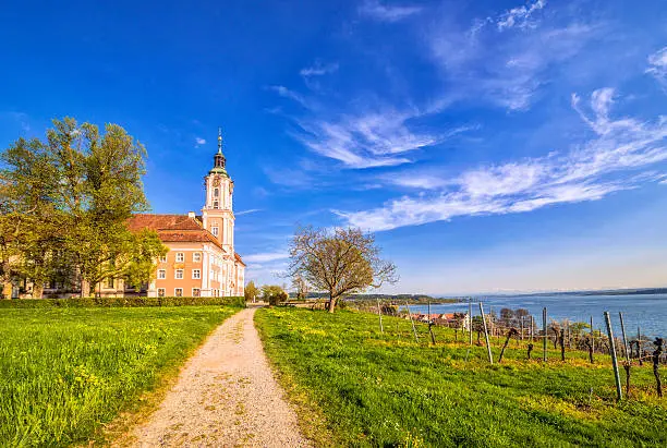 Country road through spring fields, apple trees and vineyards along the Lake Constance (Bodensee) towards the landmark Baroque basilica of Birnau.
