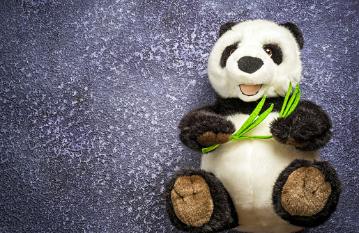 old vintage panda soft toy and bamboo in the children's room on the blue background