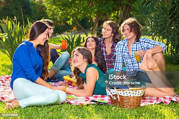 Group Of Six Friends Having A Picnic In The Park Stock Photo - Download Image Now - Activity, Adult, Affectionate