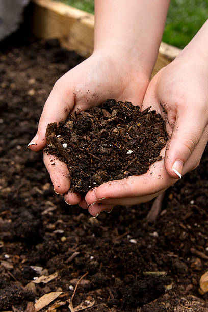 istock Hands Holding Organic Dirt From Garden 517470679