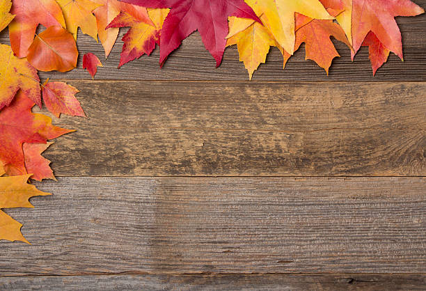 istock Colorful Fall Autumn Leaves On Wood Background 517470683