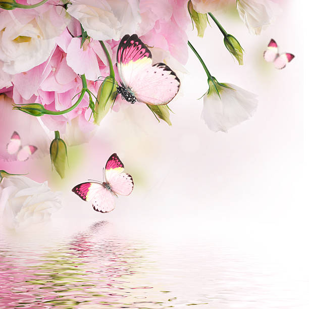 istock Bouquet of pink roses 517483629