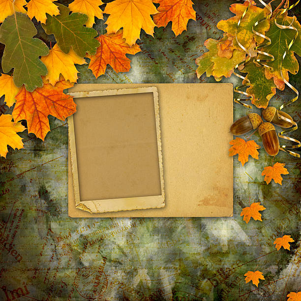 istock Bright multicolored autumn leaves on the abstract background 517483999
