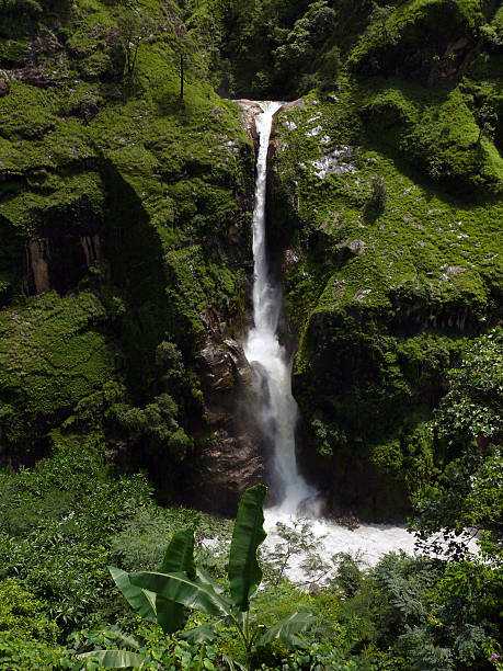 istock Large Himalayan Waterfall in a Green Mountain Area 517484869