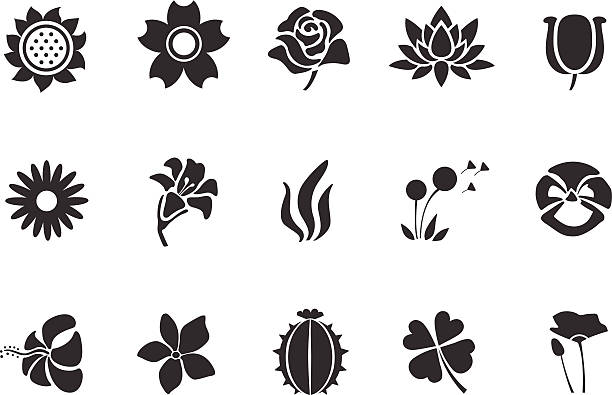 blume symbole-abbildung - wasserpflanze stock-grafiken, -clipart, -cartoons und -symbole