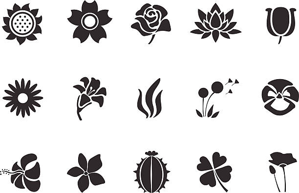 illustrations, cliparts, dessins animés et icônes de icônes de fleur-illustration - lotus single flower lily water lily