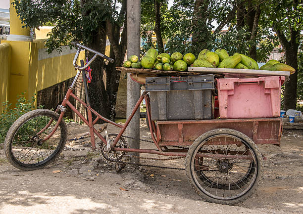 istock Bike loaded with fruit 517485631