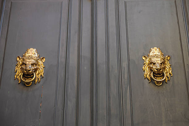 Golden lion door handles on an old door