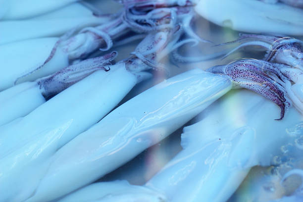 istock Fresh squid in the market 517486667