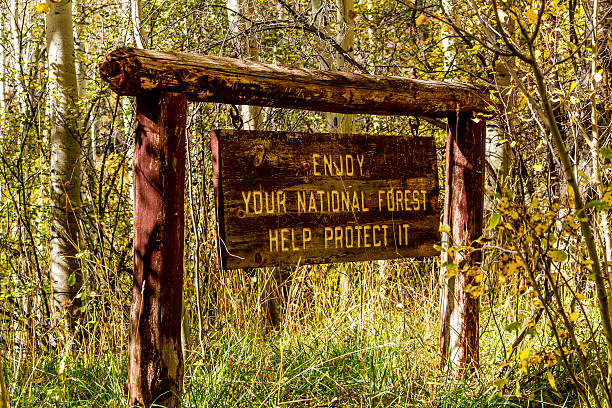National forest sign posted along dirt road on scenic byway drive