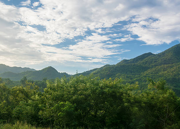 istock Beautiful Cuban Countryside 517487135