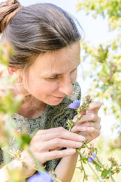istock Mature Woman and Flower 517488257