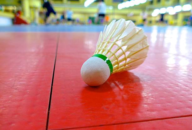 istock Shuttlecock closeup on the floor 517489204