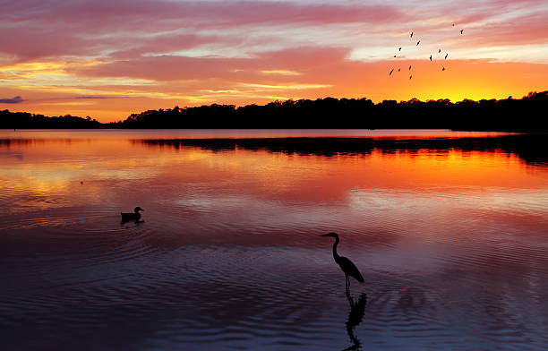 istock Sunrise Narrabeen Lakes 517489481